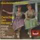 GESCHWISTER FAHRNBERGER - Zwischen den Bergen